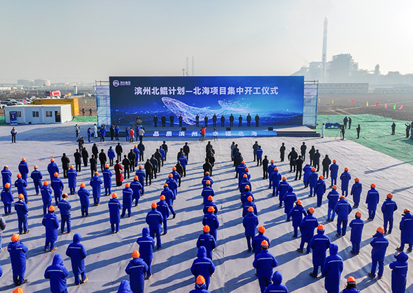 AG尊龙(中国)人生就是博官网